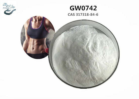 Pure Sarms Powder GW0742 CAS 317318-84-6 For Gaining Muscle Gym Powder